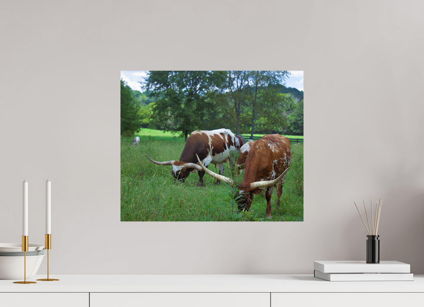 long horns