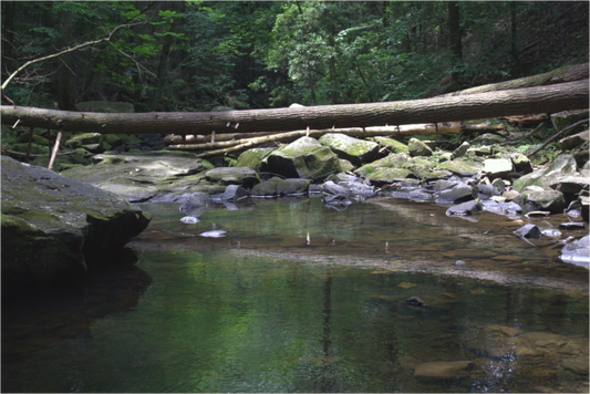 Creek View