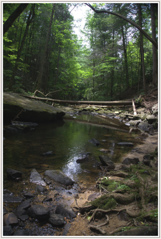 Alabama Creek